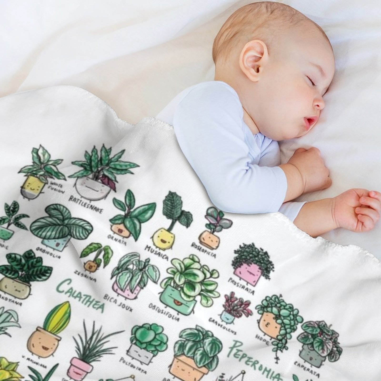 Plant Families Throw Blanket D - Fleece Sleep Bag review and price